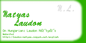 matyas laudon business card